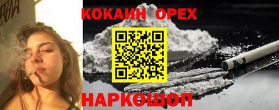 гашиш Кохма