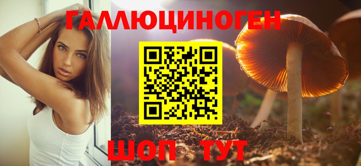Галлюциногенные грибы прущие грибы  Вход с VPN  Галлюциногенные грибы мухоморы  Отрадное 